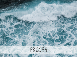 Prices Surfschool Fuerteventura
